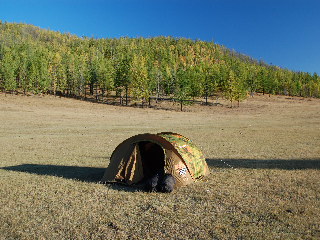 We set up camp here (this is the tent I stayed in) the first night. The Siberian Larch forest crawled the hills behind the camp.